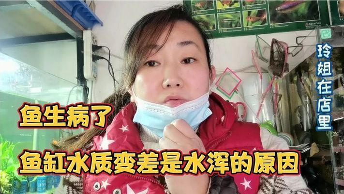 為什么魚缸剛換了水一下子又渾濁了，魚缸換水后水質迅速變渾濁怎么辦