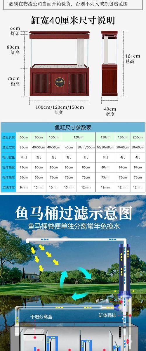 龍魚缸多大尺寸合適呢