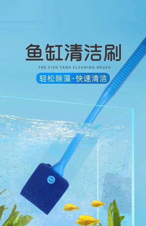 有哪些適合龍魚擺件的清潔劑？