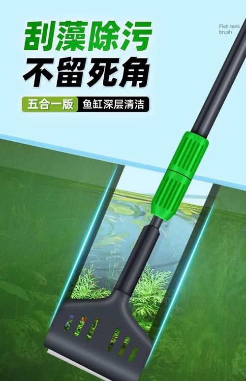 有哪些適合龍魚擺件的清潔劑？