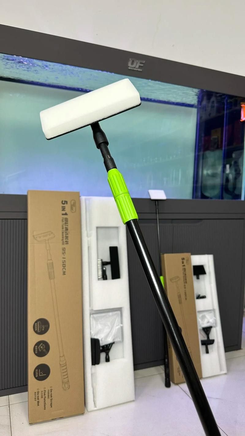 有哪些適合龍魚擺件的清潔劑？