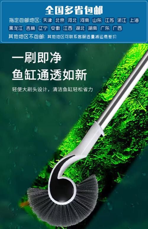 有哪些適合龍魚擺件的清潔劑？