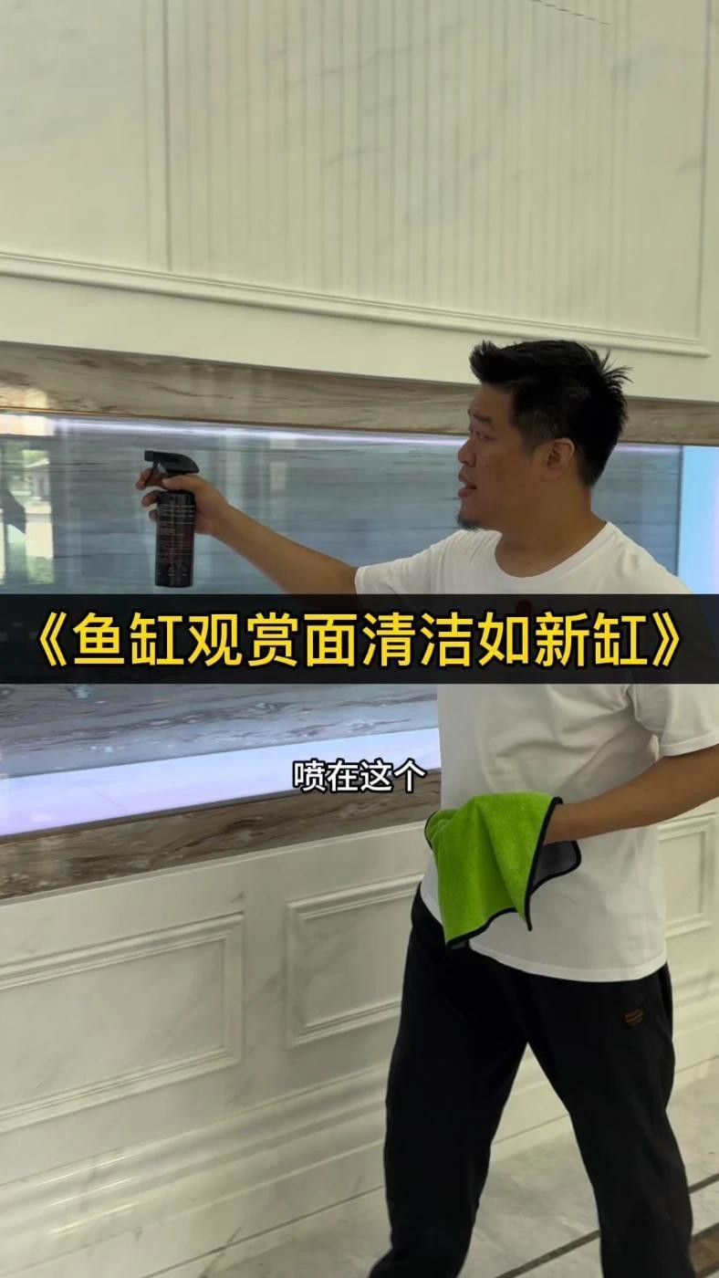 有哪些適合龍魚擺件的清潔劑？