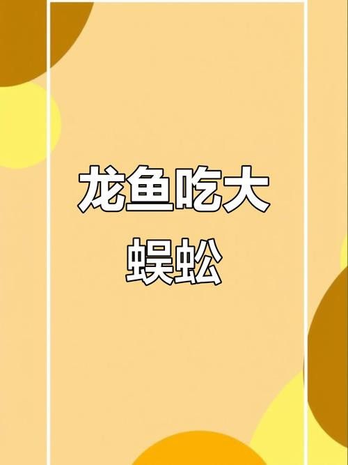 金龍魚(yú)能吃蜈蚣嗎圖片