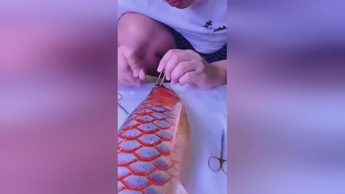 龍魚掉眼睛圖片