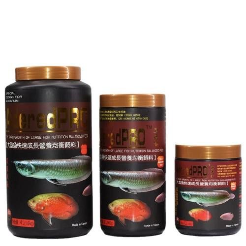 紅鸚鵡魚和銀龍魚能在一起混養(yǎng)嗎圖片