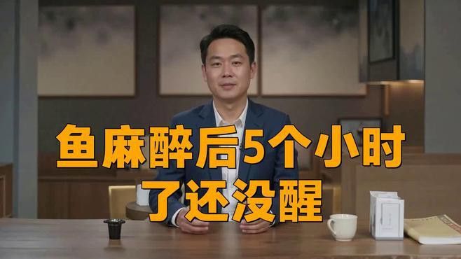 給金龍魚做手術用什么麻醉