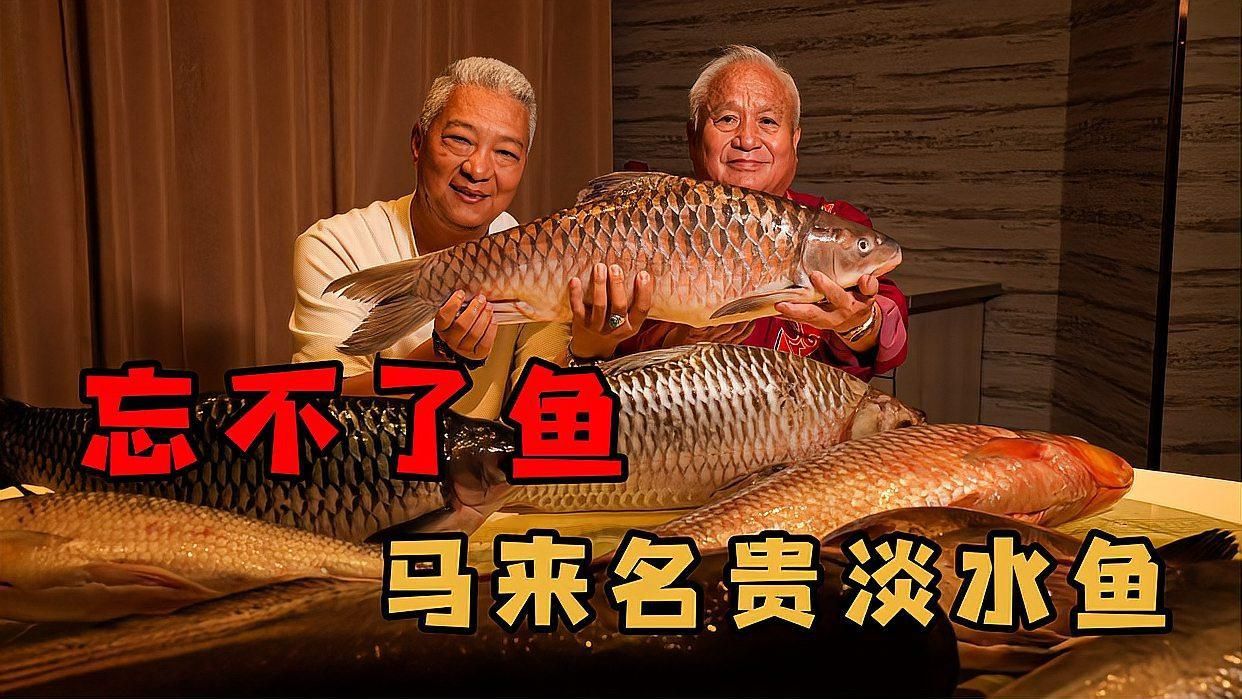 馬來西亞很貴的魚