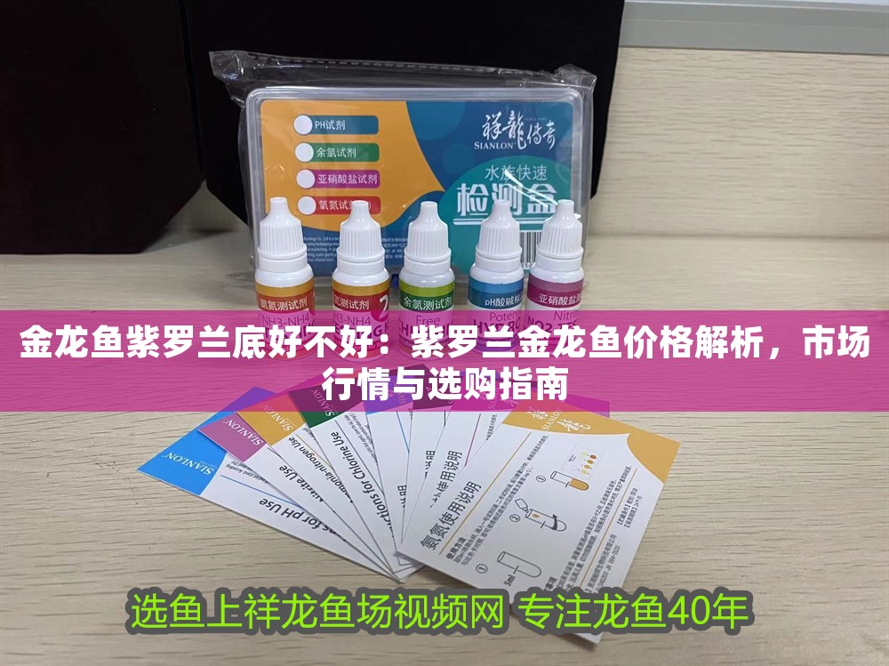 金龍魚紫羅蘭底好不好：紫羅蘭金龍魚價(jià)格解析，市場(chǎng)行情與選購(gòu)指南