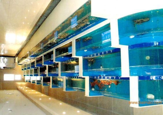 魚缸下循環安裝示意圖（如何維護魚缸過濾系統魚缸循環系統常見故障及解決魚缸水質檢測方法介紹）