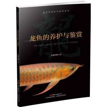 龍魚品質怎么看,如何判斷龍魚品質 龍魚百科 第2張 龍魚品質怎么看,如何判斷龍魚品質 龍魚品質怎么看,如何判斷龍魚品質 龍魚百科 第2張