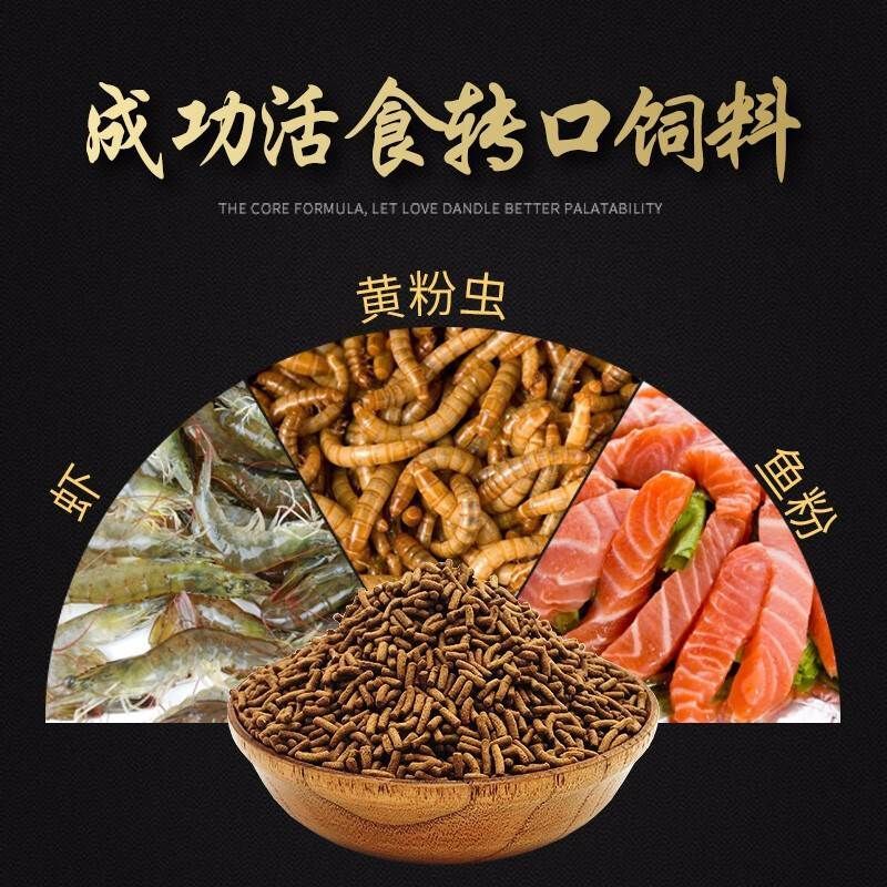 龍魚飼料排行榜第一名是什么品種（2024年龍魚飼料品牌排行榜第一名品種森森（sunsun））
