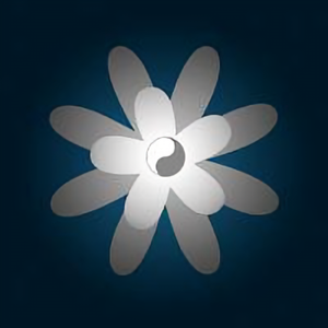 形水魚缸老板 龍魚百科 第1張 形水魚缸老板 形水魚缸老板 龍魚百科 第1張