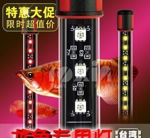 龍魚上色用什么燈光（龍魚上色怎么選擇燈光）