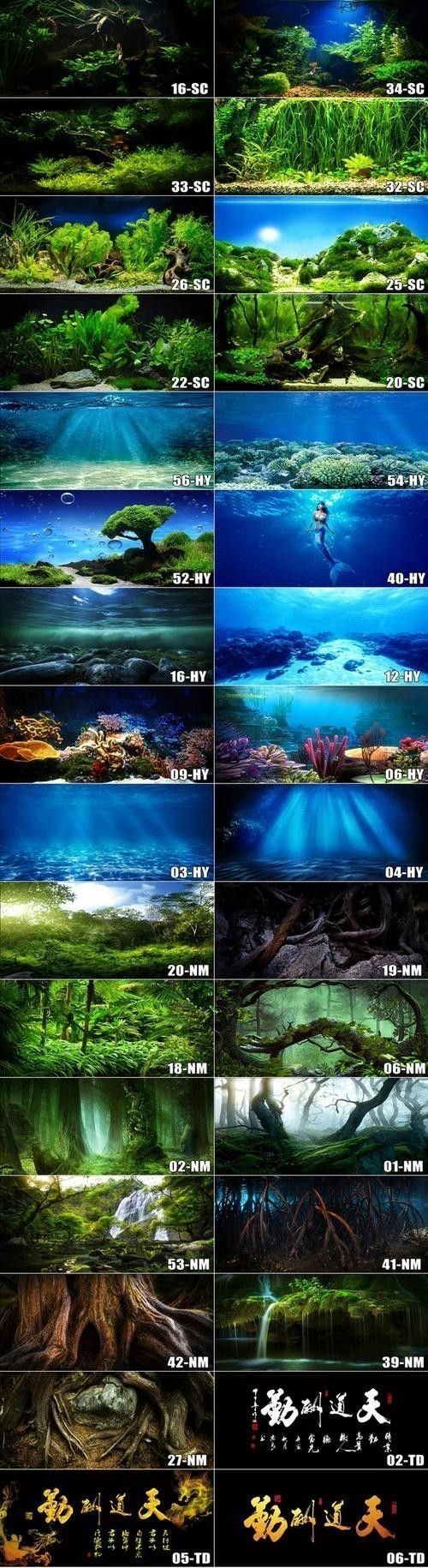 龍魚魚缸背景布