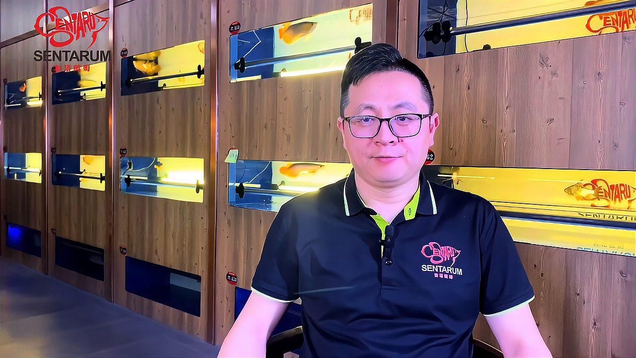 養銀龍魚缸背景用什么顏色好