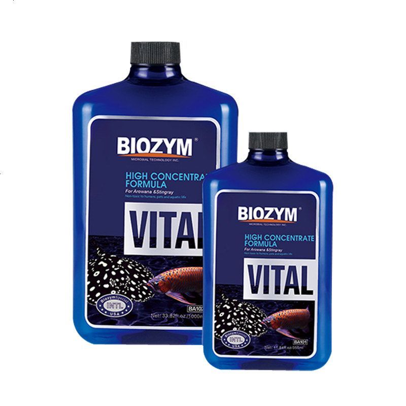 龍魚厭食不活潑怎么辦：解決龍魚厭食不活潑的方法 龍魚厭食不活潑怎么辦：解決龍魚厭食不活潑的方法 龍魚百科 第1張