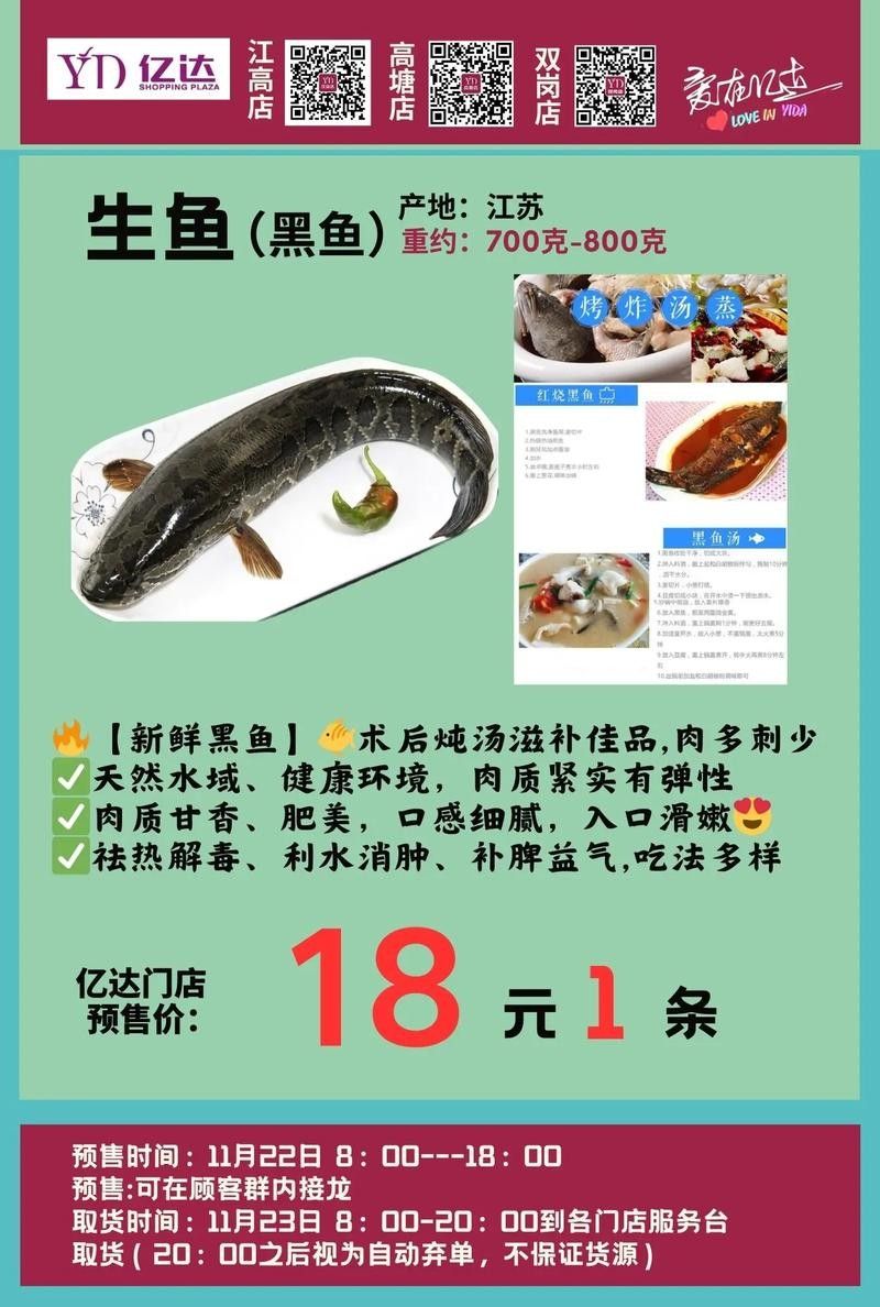 黑龍魚大概多少錢一只啊