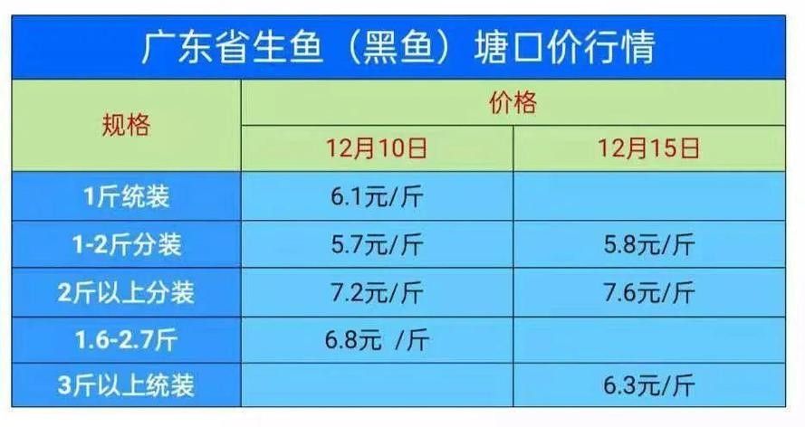 黑龍魚大概多少錢一只啊