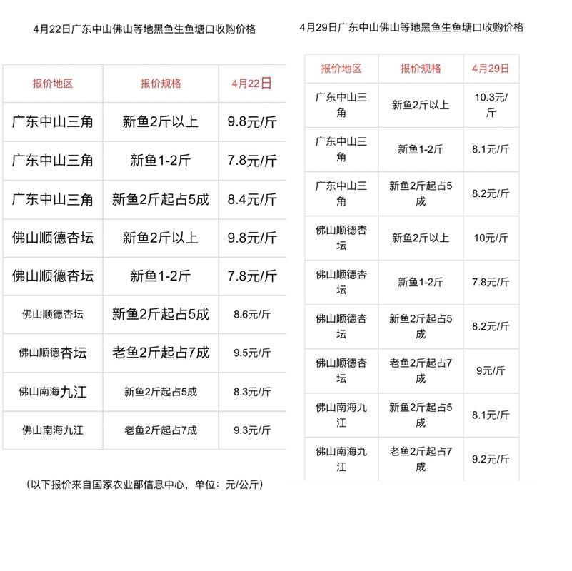 黑龍魚大概多少錢一只啊