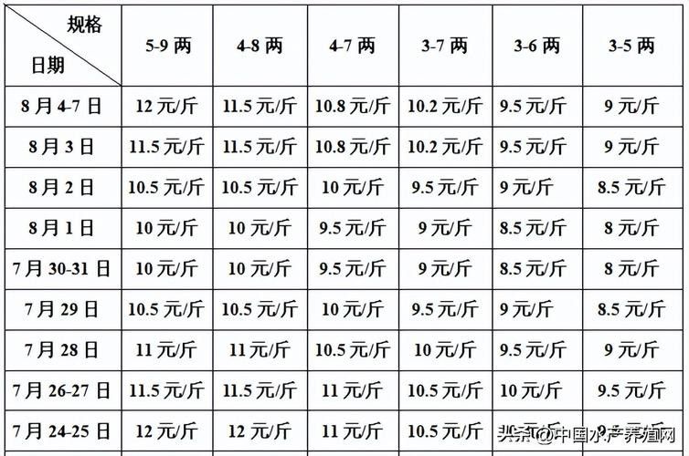 黑龍魚大概多少錢一只啊