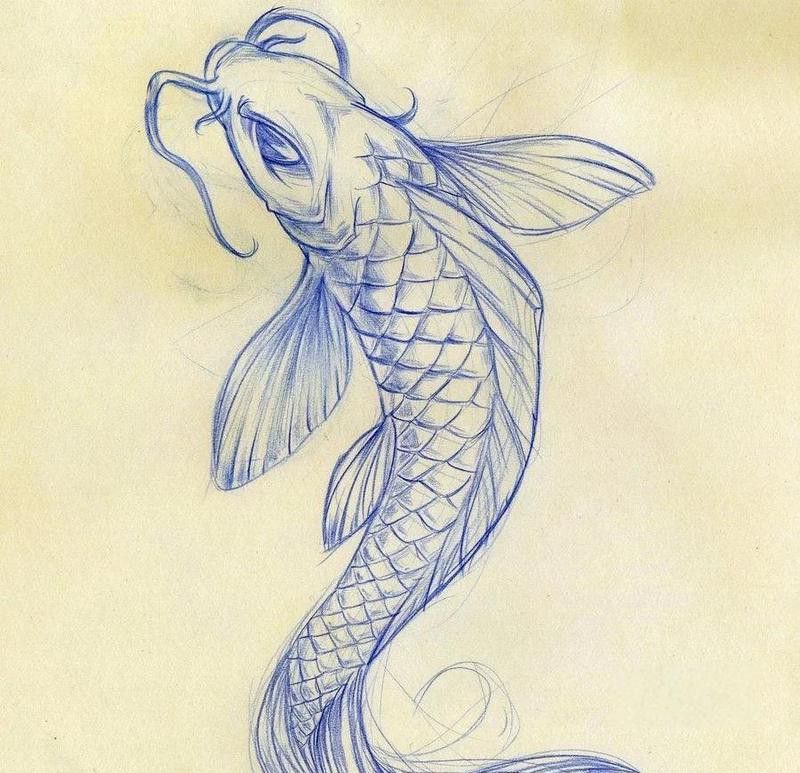 天山龍魚圖片欣賞大全大圖