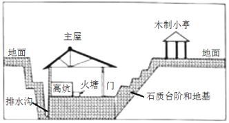 龍魚和藍鯊混養好嗎圖片：龍魚和藍鯊混養好嗎？全面解析混養的利與弊