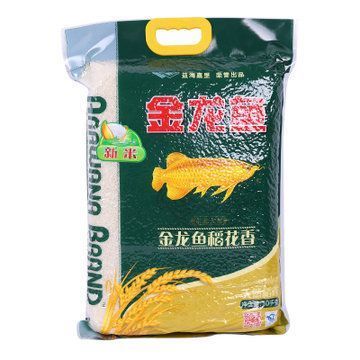 金龍魚吃什么食料好吃：金龍魚吃什么好吃