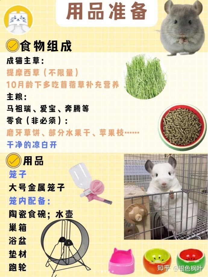 龍貓多久換一次浴沙？ 龍貓多久換一次浴沙？ 龍魚百科 第8張