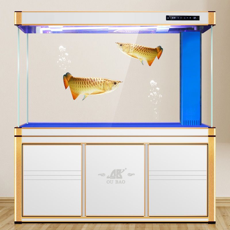 大型龍魚缸什么牌子好用又便宜：大型龍魚缸什么品牌好用又便宜