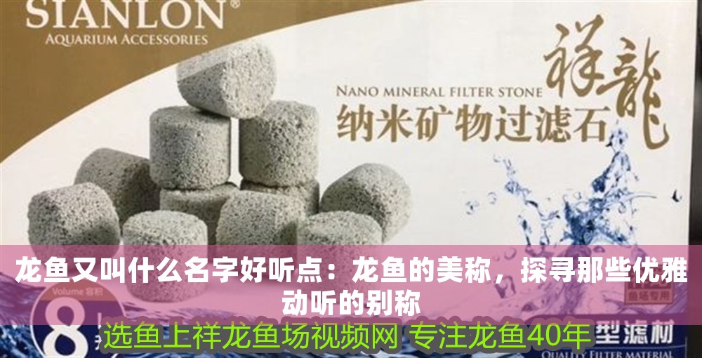 龍魚又叫什么名字好聽點：龍魚的美稱，探尋那些優雅動聽的別稱