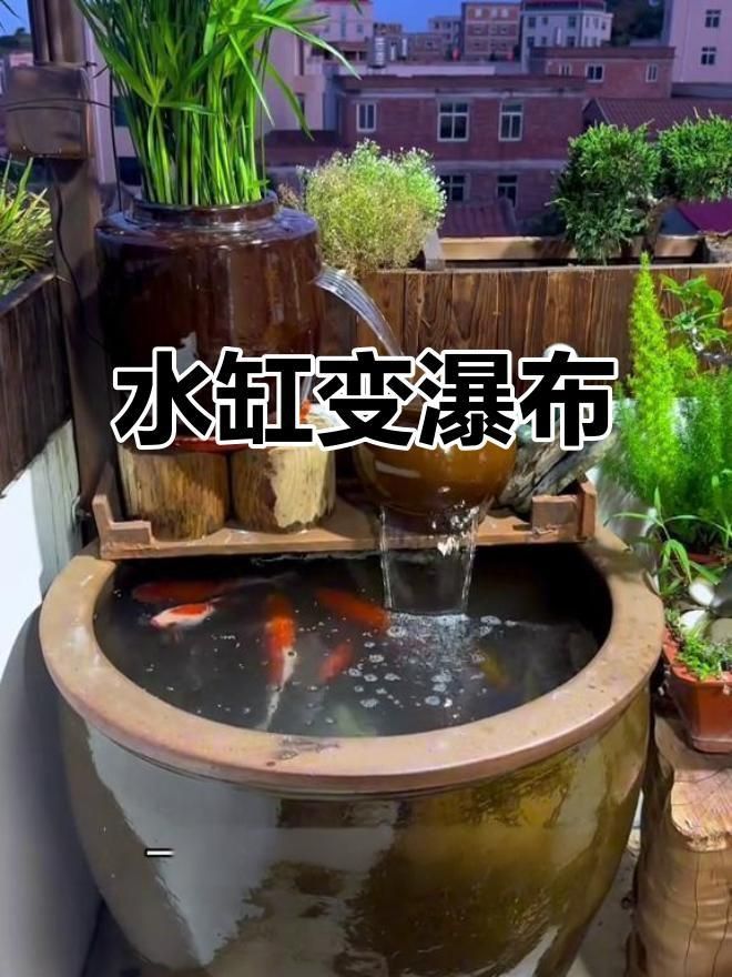 老式水缸怎么做過濾養魚