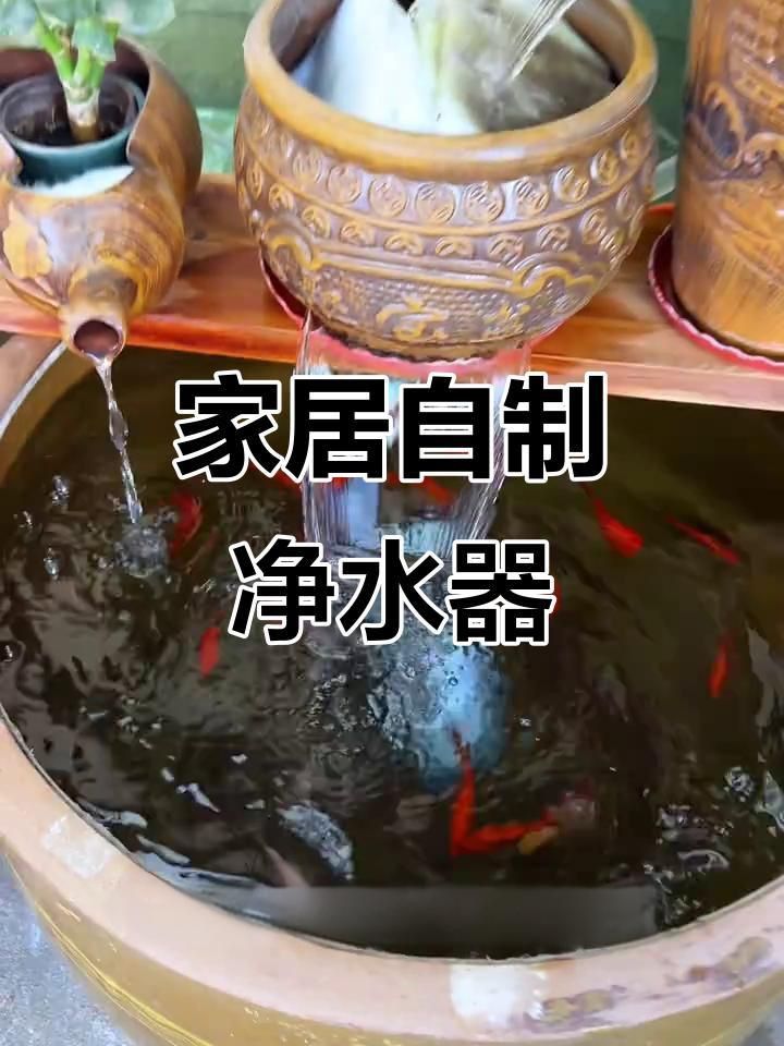 老式水缸怎么做過濾養魚