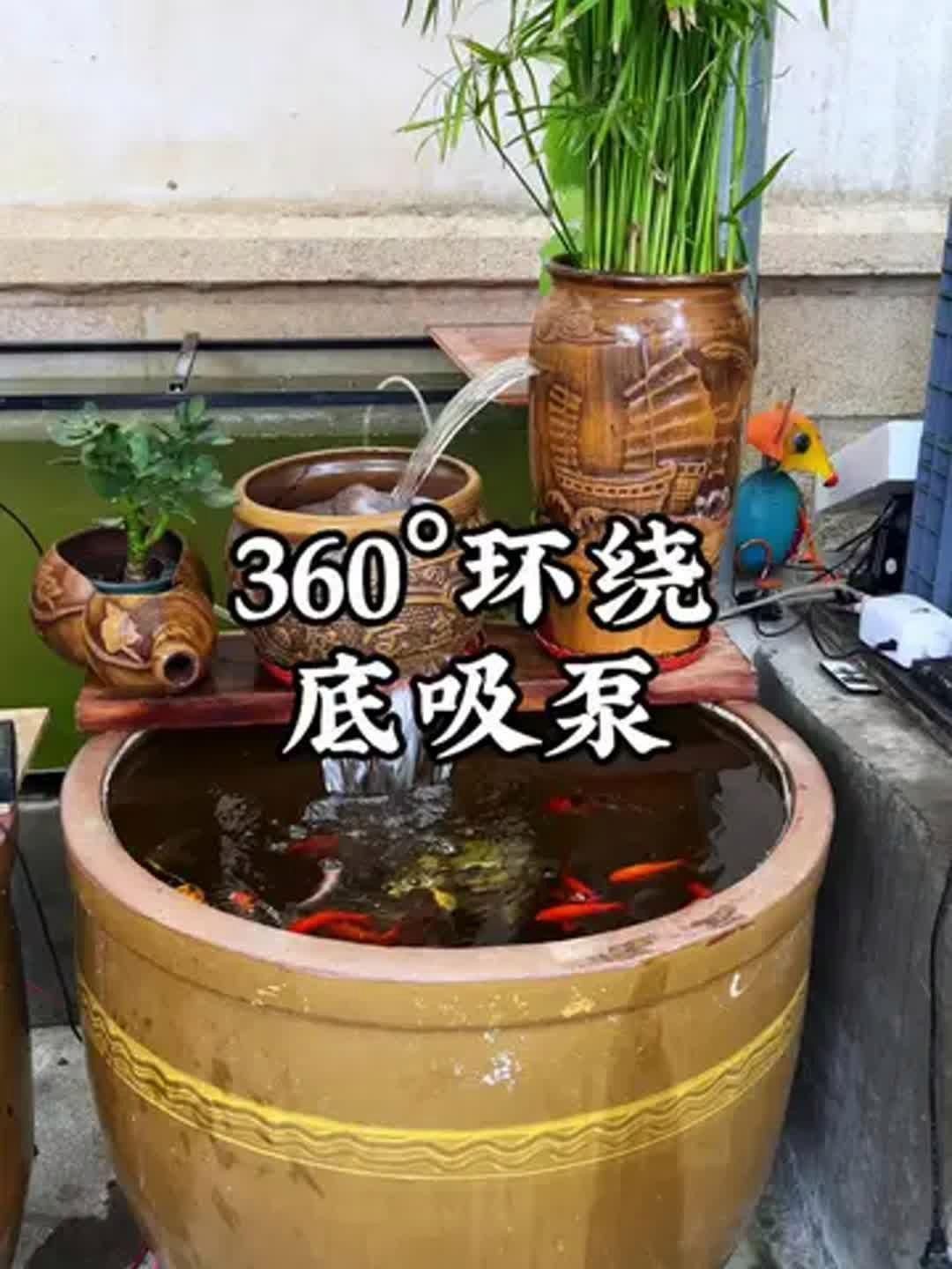 老式水缸怎么做過濾養魚