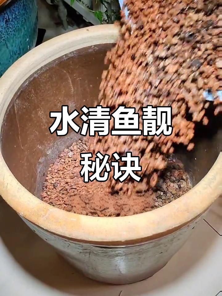老式水缸怎么做過濾養魚