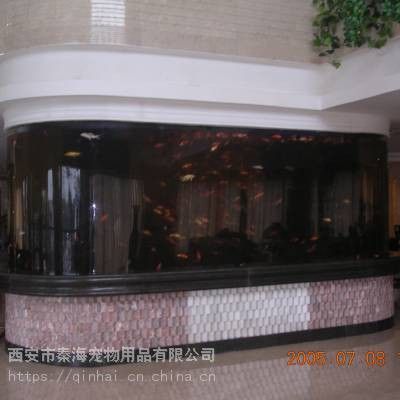 西安魚缸定做祥龍魚場地址在哪里