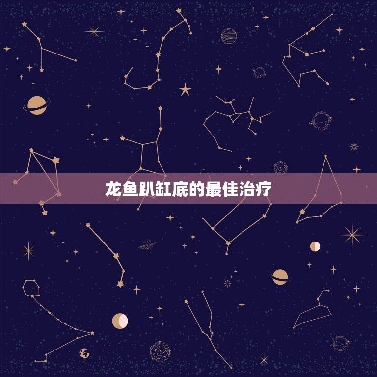 金龍魚趴缸底的最佳治療：金龍魚趴缸底可能由多種原因引起
