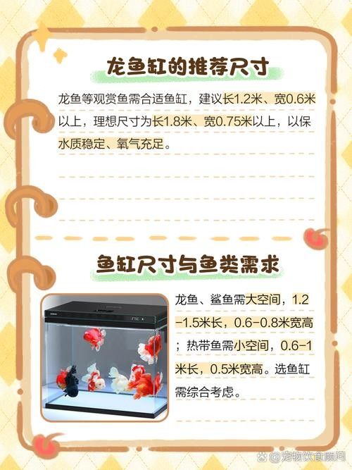 龍魚(yú)飼養(yǎng)技巧圖解