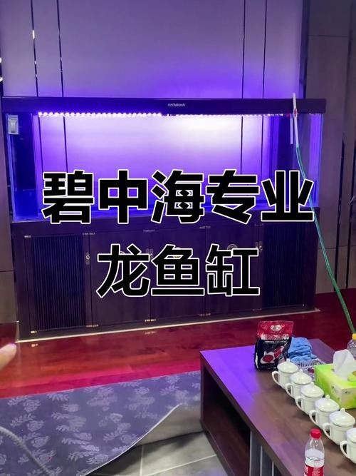 龍魚(yú)飼養(yǎng)技巧圖解