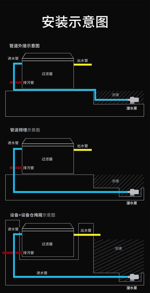 龍魚(yú)飼養(yǎng)技巧圖解