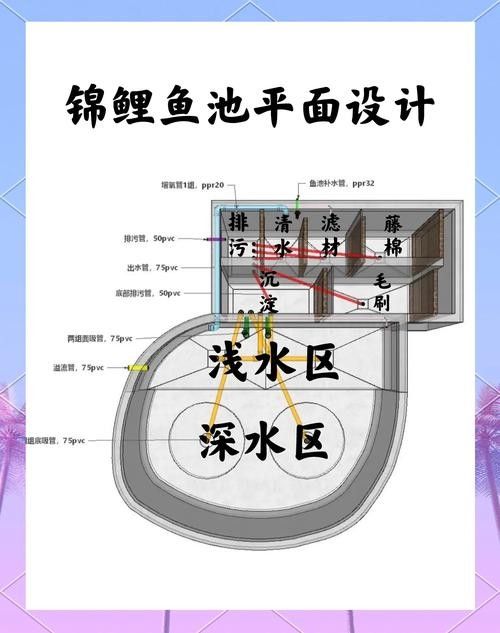 龍魚(yú)飼養(yǎng)技巧圖解