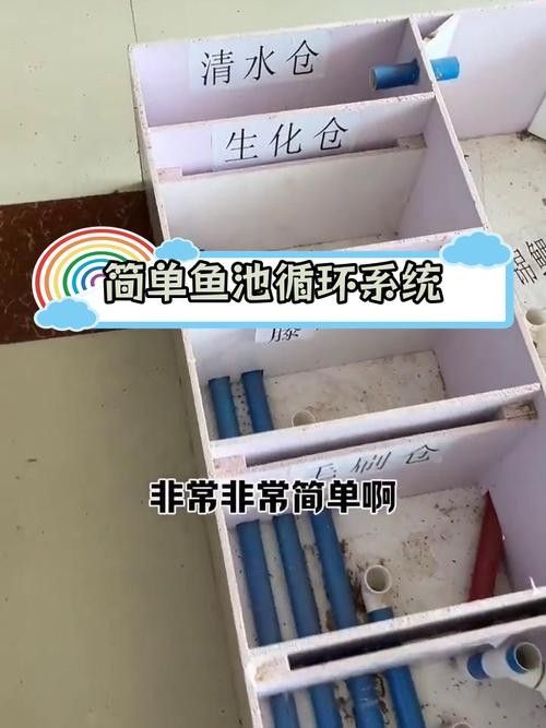 龍魚(yú)飼養(yǎng)技巧圖解