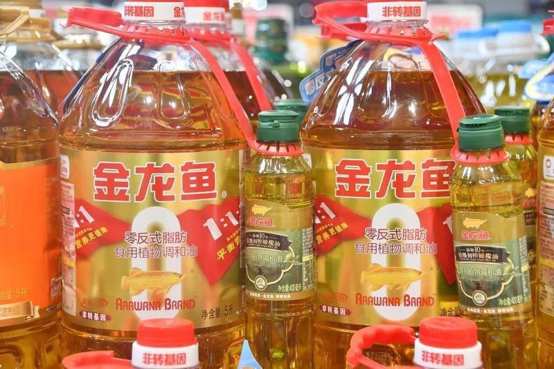 金龍魚控股公司簡(jiǎn)介
