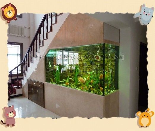 龍魚缸換水注意什么：龍魚缸換水時需要注意的幾個方面