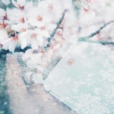 錦鯉論壇哪個比較好