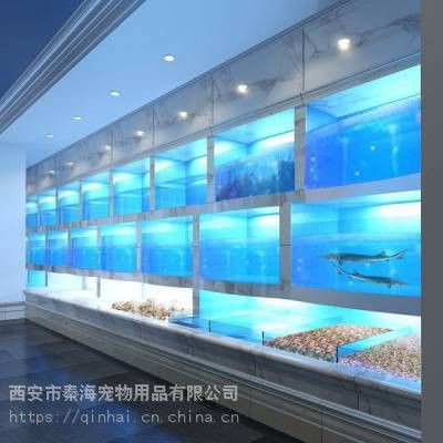 西安魚(yú)缸定做祥龍魚(yú)場(chǎng)地址在哪