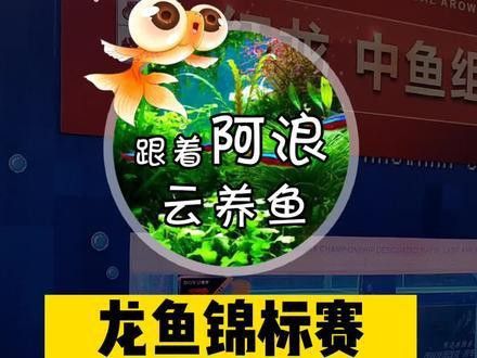 山東龍魚價格最新行情圖片