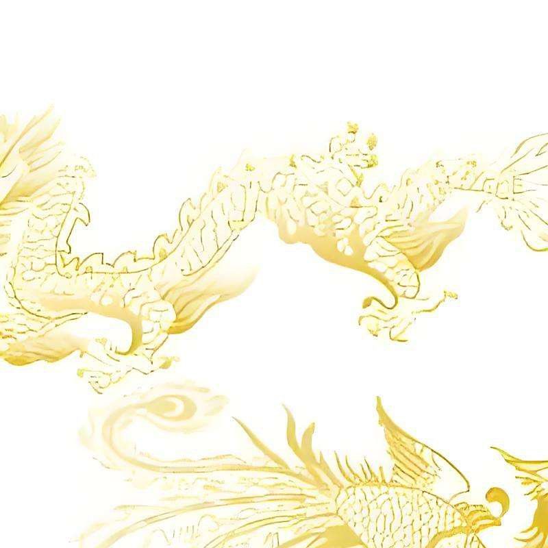 《龍生龍》的簡介是什么？