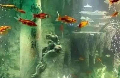 東海龍宮御龍魚缸介紹視頻：東海龍宮御龍魚缸