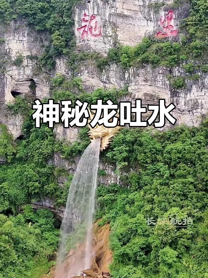 再給我?guī)讉€(gè)水龍雕塑的實(shí)例
